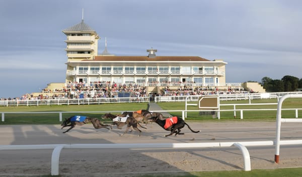 Towcester given the nod for English Derby in 2026 by GBGB panel