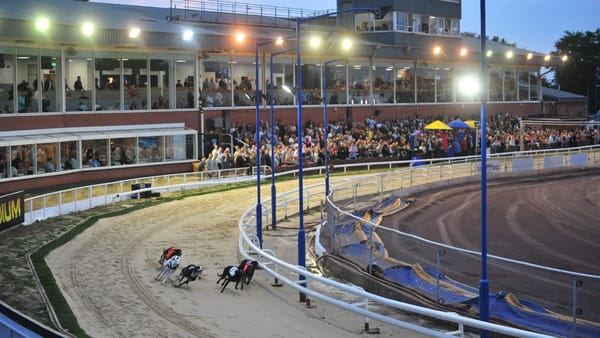 bet365 in English Puppy Oaks move to Oxford from Towcester