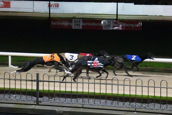 Preview: Irish Laurels final is live on sisracing.tv this Saturday