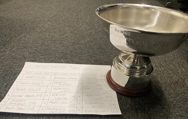 Preview: Green at the double but Puppy Oaks eyes are on Simone