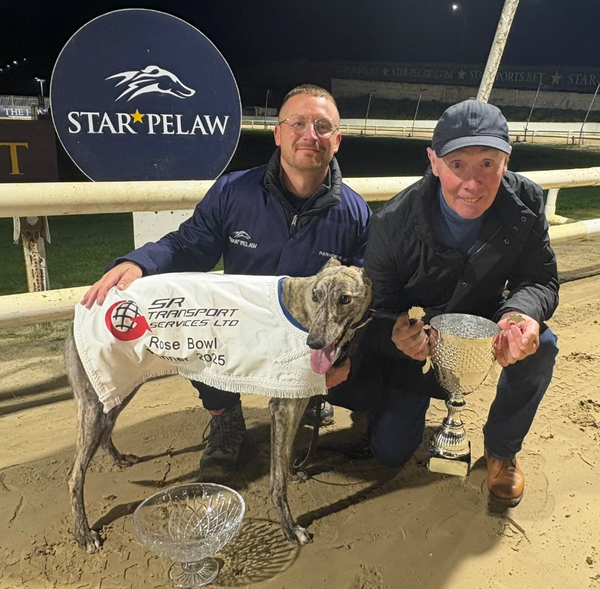 Preview - Hillside Lily looking for seven-up in Star Pelaw decider