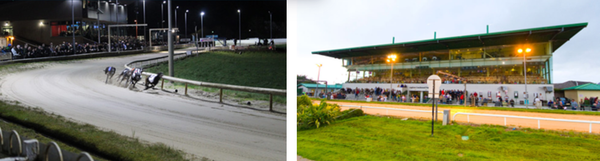 Get set for festive final cheer at both Clonmel and Tralee Friday