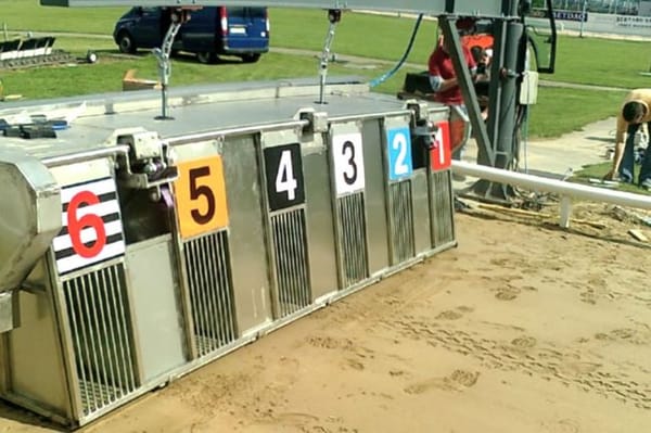 GBGB instigates comprehensive traps review after recent failures