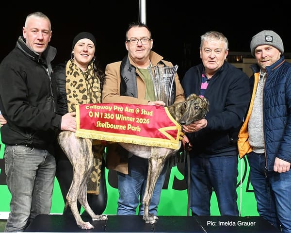 Ian Fortune's Weekly Irish Focus - Wednesday 21st Jan edition