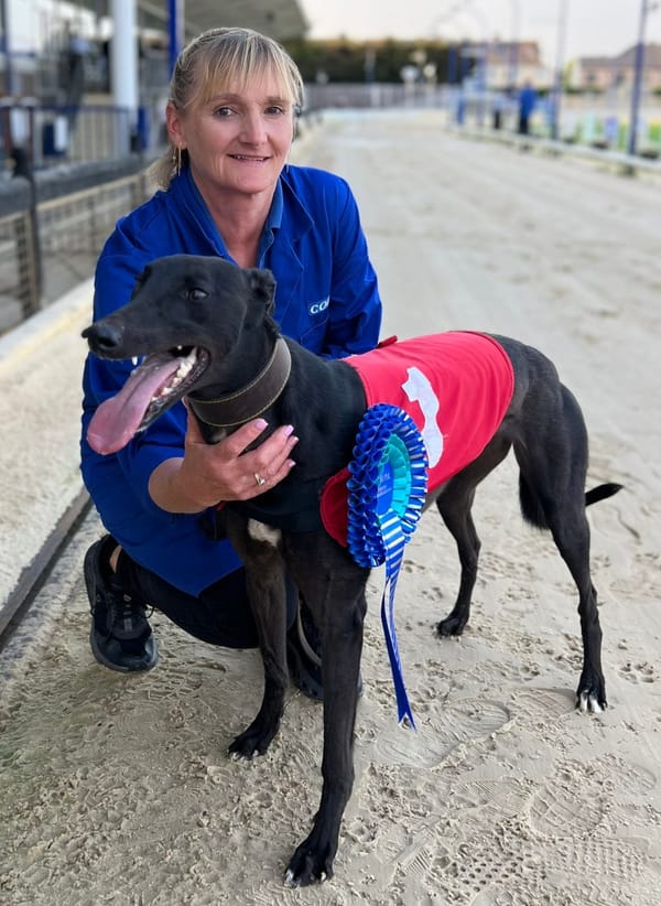 Bacon Burrger earns GBGB's award as Grader of the Year