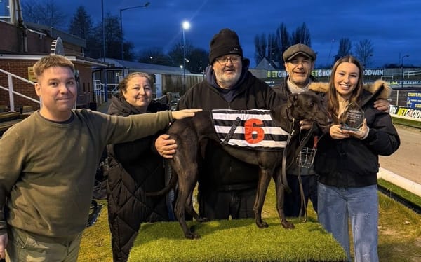 Twinkle the star in BetGoodwin final as punters pile into 'jolly'