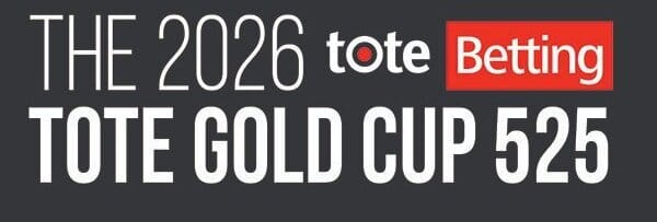 Solo And Go is into 5/2 for Gold glory despite round two reverse