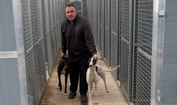 Miller setting out as a trainer with first Star Pelaw runners