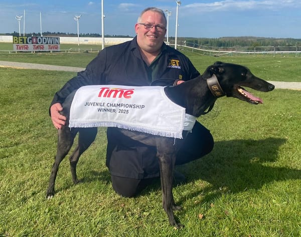 Brilliant Proper Heiress crowned Greyhound of the Year for 2025