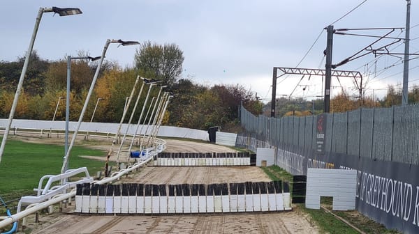 Star Pelaw hopeful of filling first hurdles race on Tuesday evening