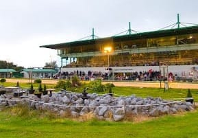 Preview - Friday’s Tralee card inc the T Nolan Juvenile Classic final