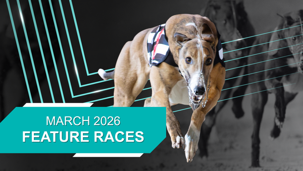 Buckley, Dowling are in familiar territory with Irish Classic wins